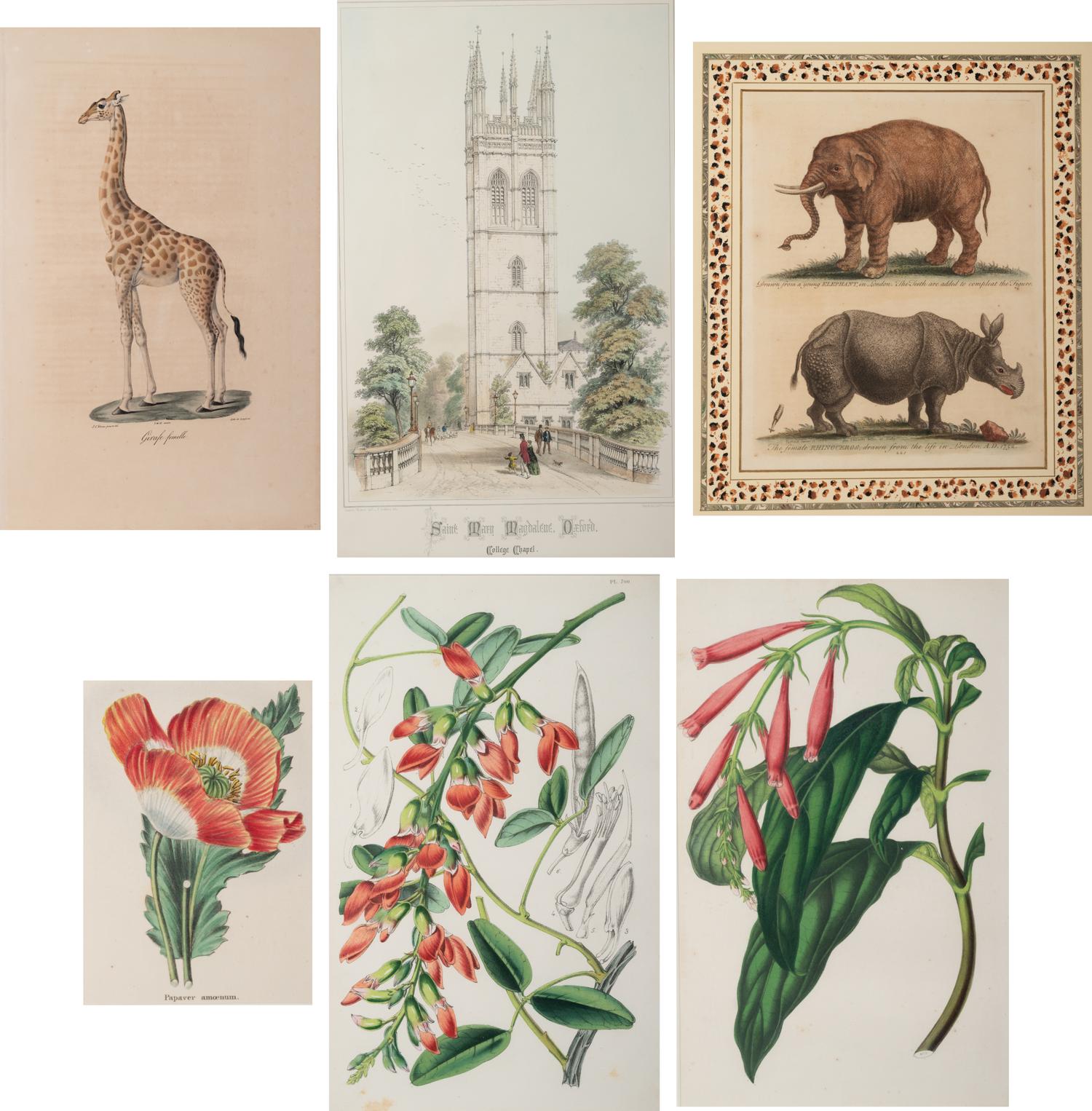 Six Hand-Colored Engravings