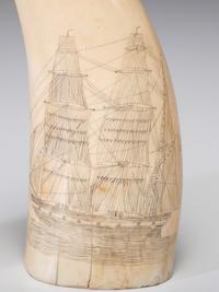 A Pair of Scrimshaw Sperm Whale's Teeth