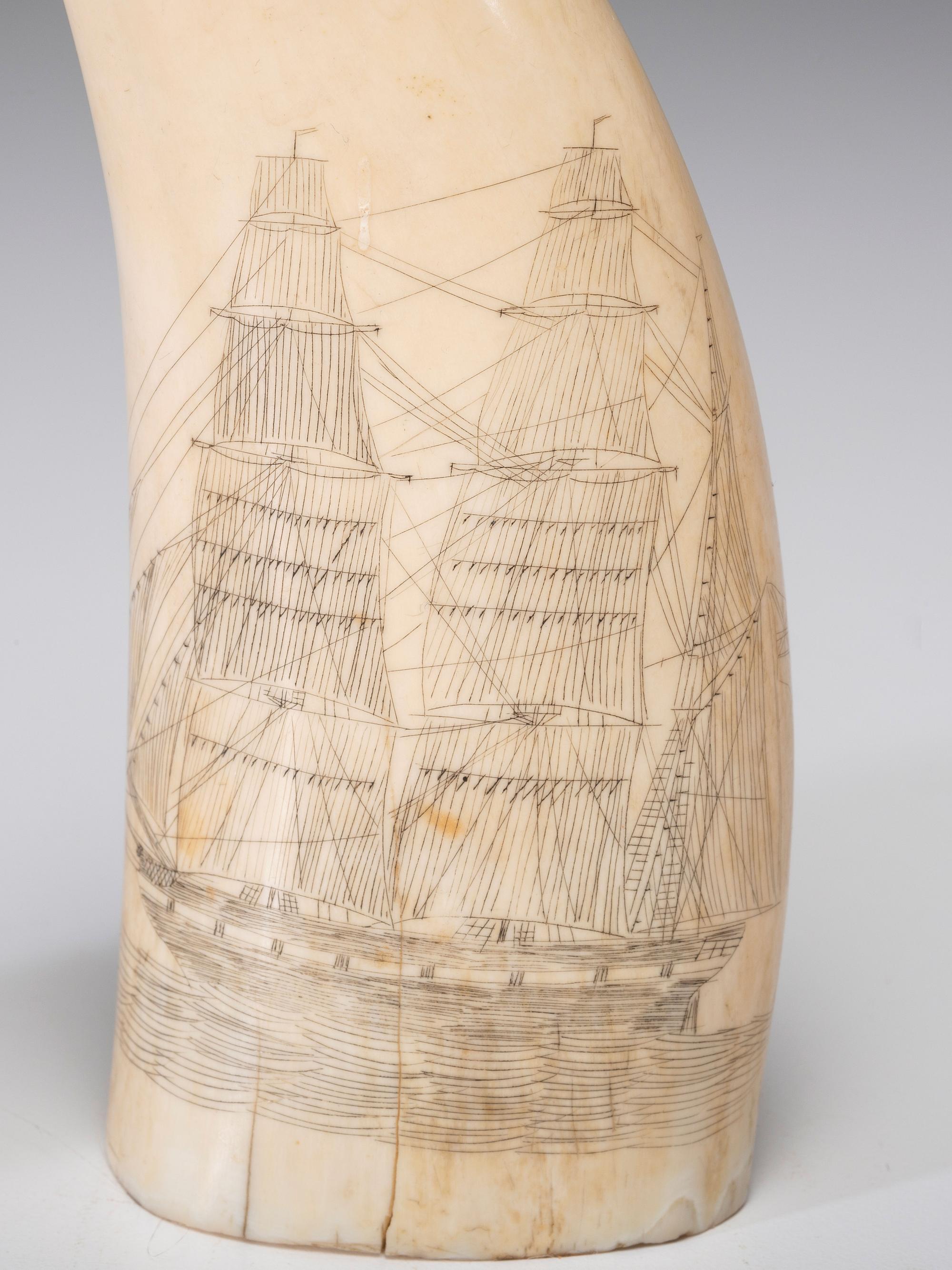 A Pair of Scrimshaw Sperm Whale's Teeth
