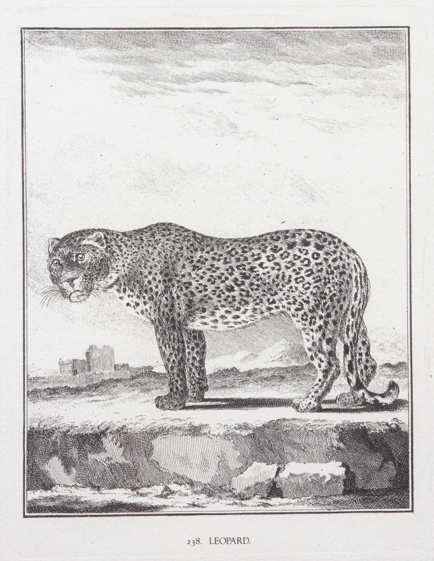 A Collection of Twenty Framed Black & White Animal Prints Framed size 21 3/4 x 19 1/2 inches. — 20TH CENTURY