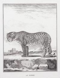 A Collection of Twenty Framed Black & White Animal Prints Framed size 21 3/4 x 19 1/2 inches. — 20TH CENTURY