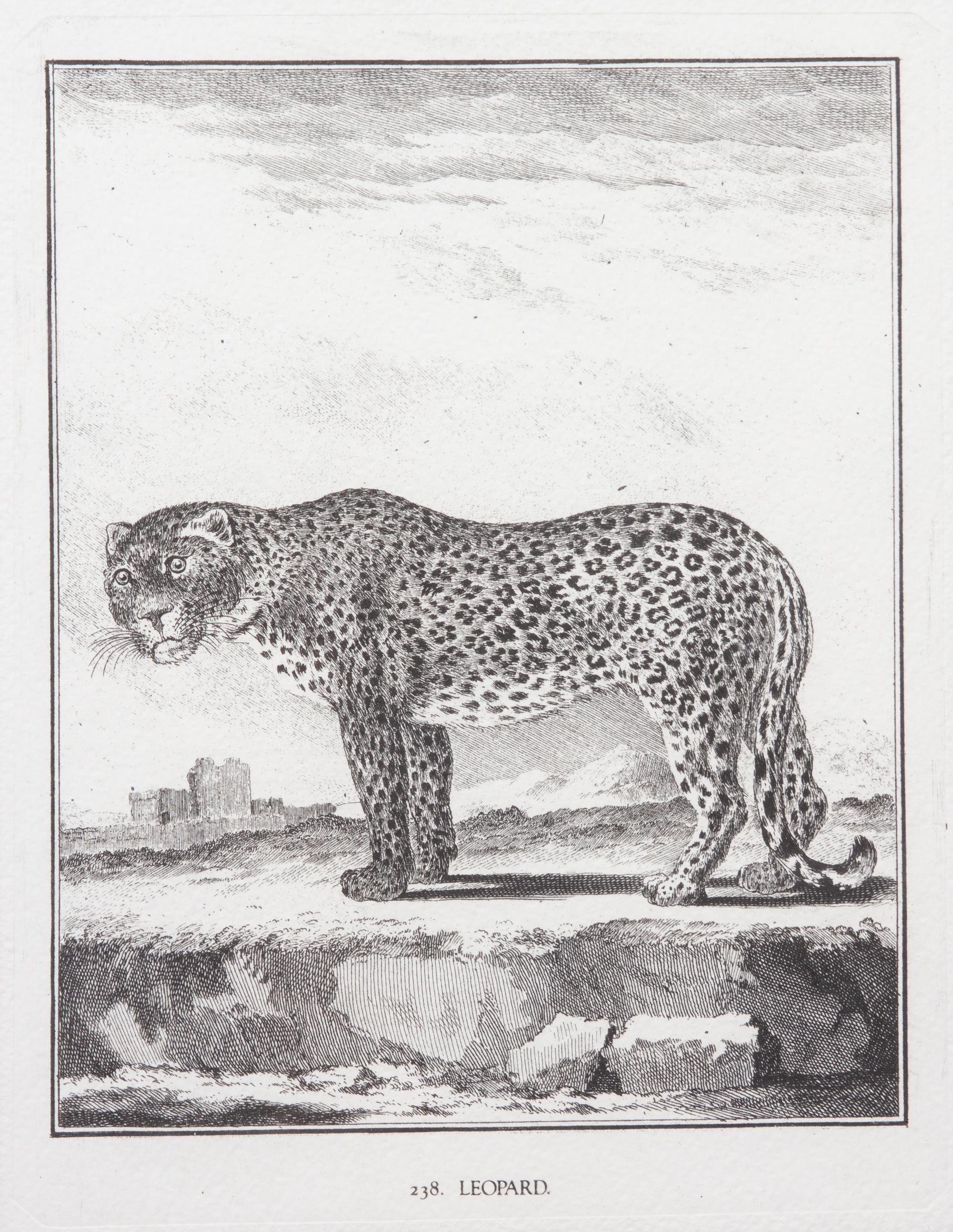 A Collection of Twenty Framed Black & White Animal Prints Framed size 21 3/4 x 19 1/2 inches. — 20TH CENTURY