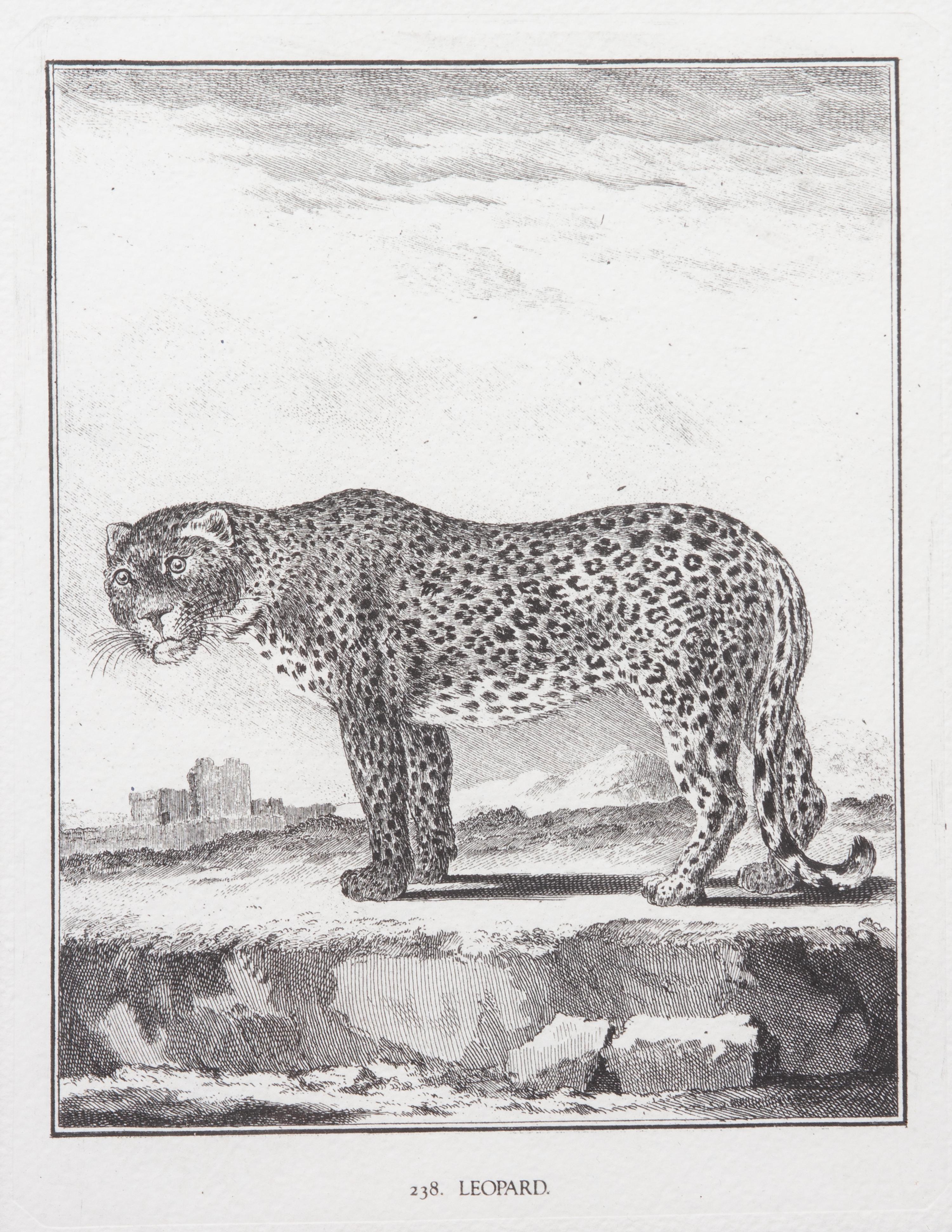A Collection of Twenty Framed Black & White Animal Prints Framed size 21 3/4 x 19 1/2 inches. — 20TH CENTURY