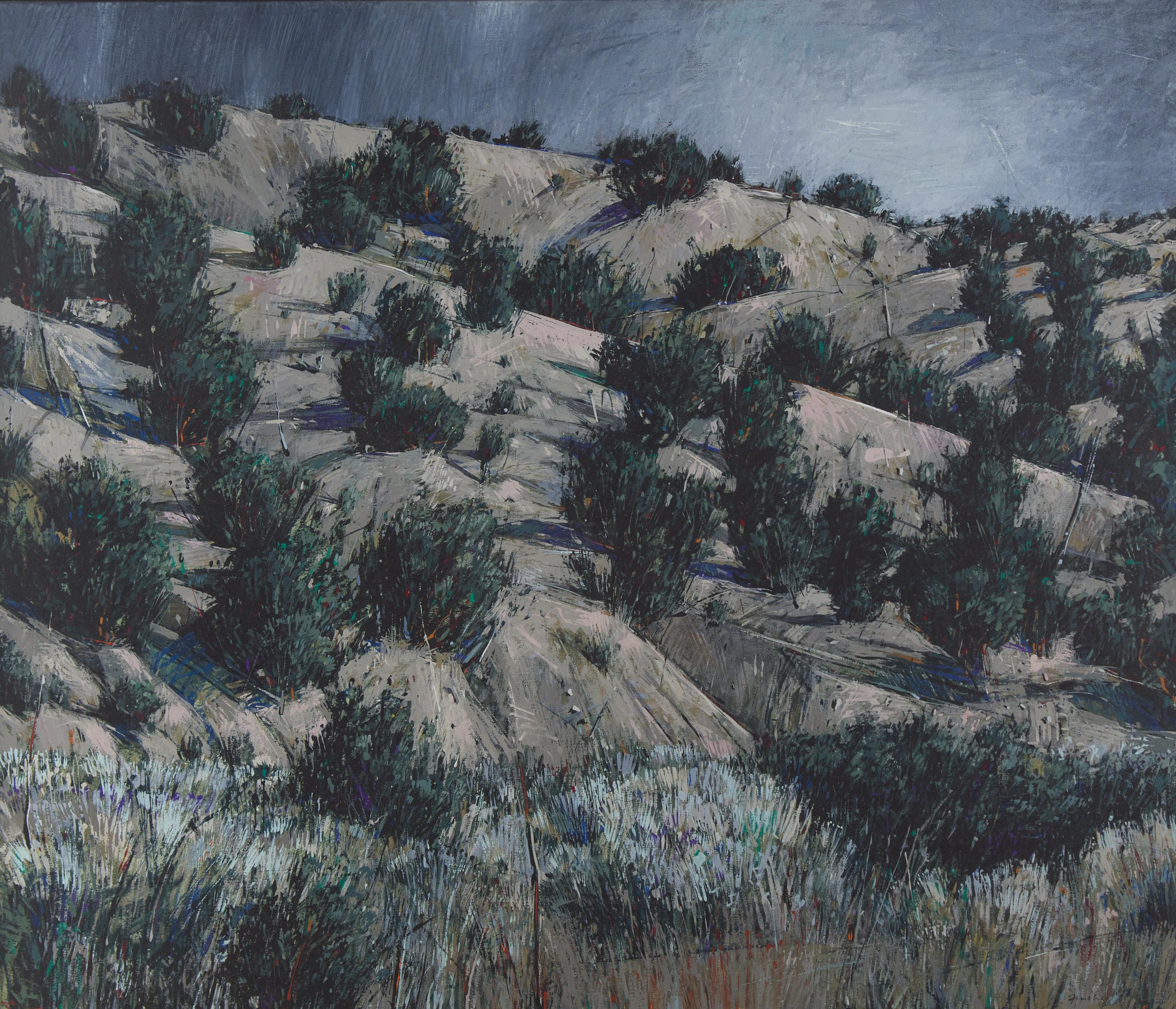Santa Cruz at Dusk, 1987