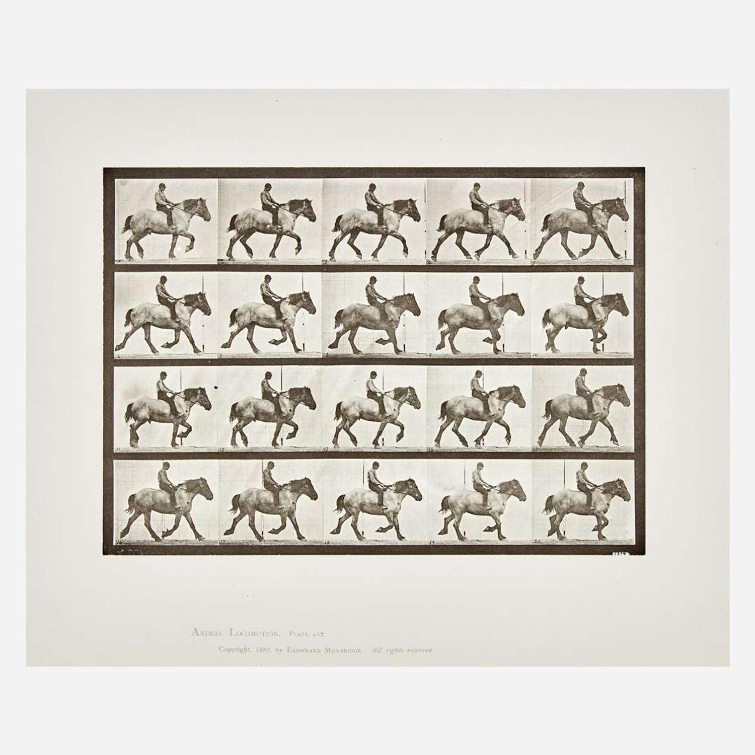 Eadweard Muybridge (British, 1830-1904) Animal Locomotion, Plate 597