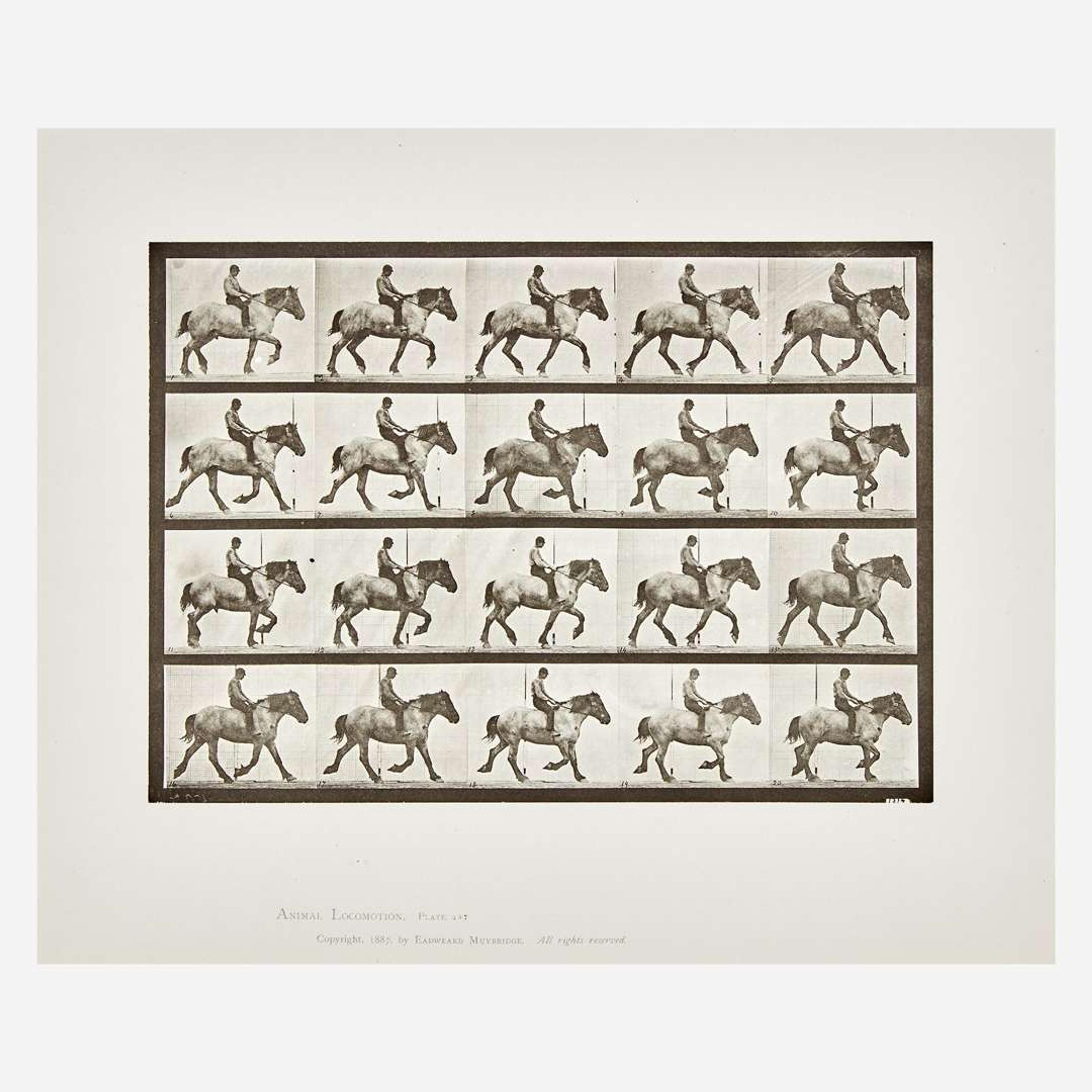 Eadweard Muybridge (British, 1830-1904) Animal Locomotion, Plate 597