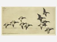 [Prints] Benson, Frank W.: Group of 4 Sporting Prints