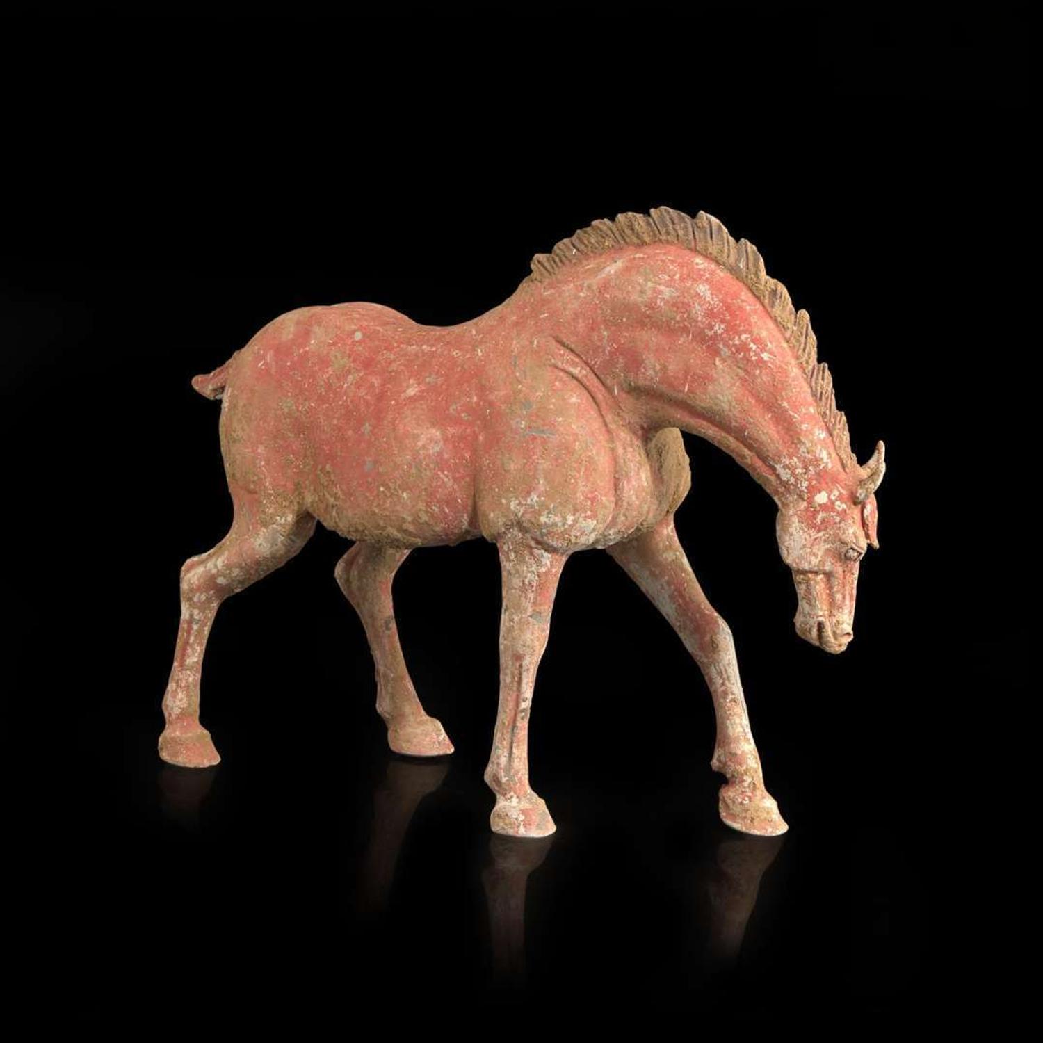 A Chinese red-painted grey pottery figure of a horse with lowered head 红色彩绘陶马 Possibly Tang dynasty ????