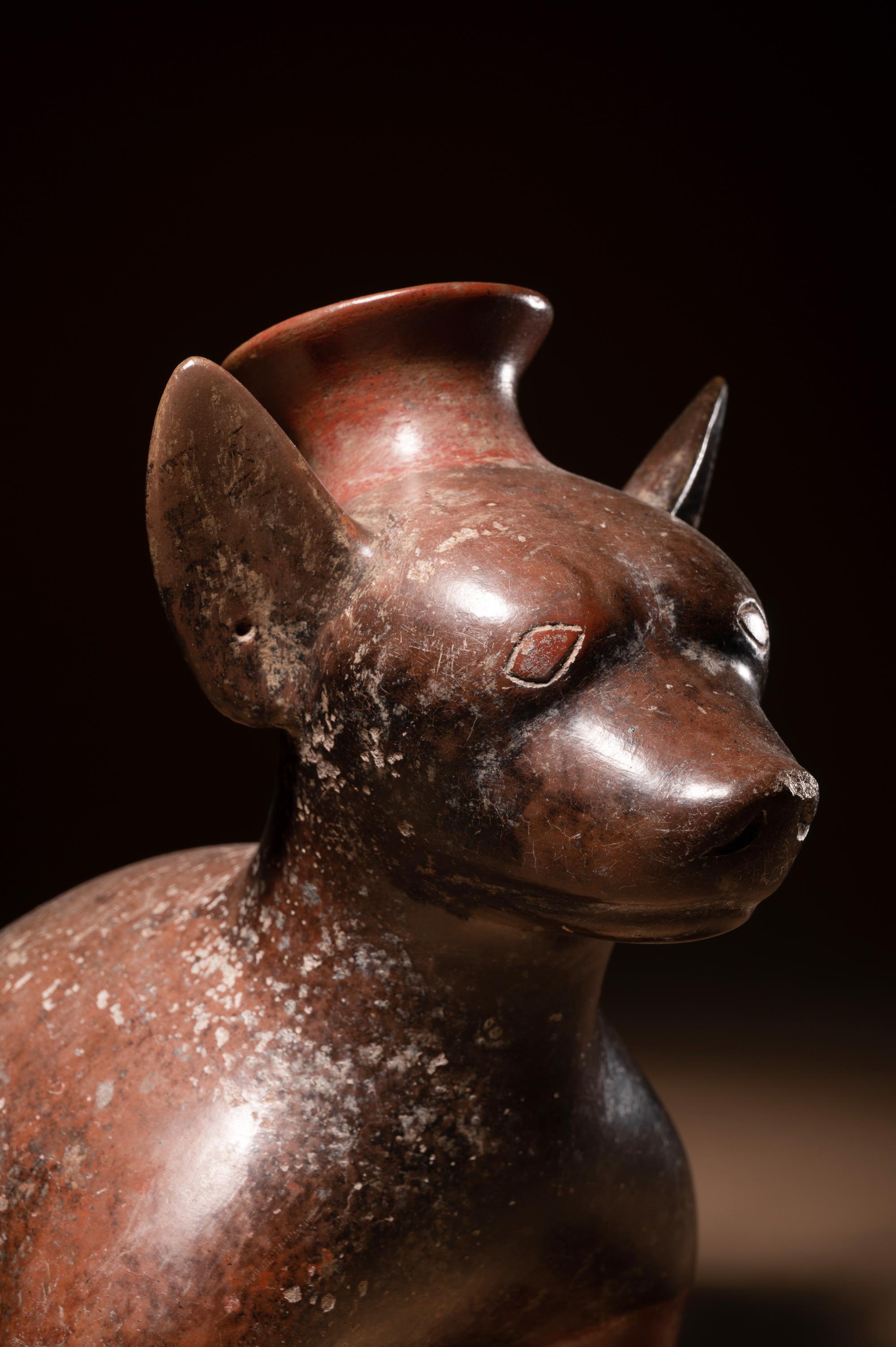 A Colima Dog Effigy Vessel