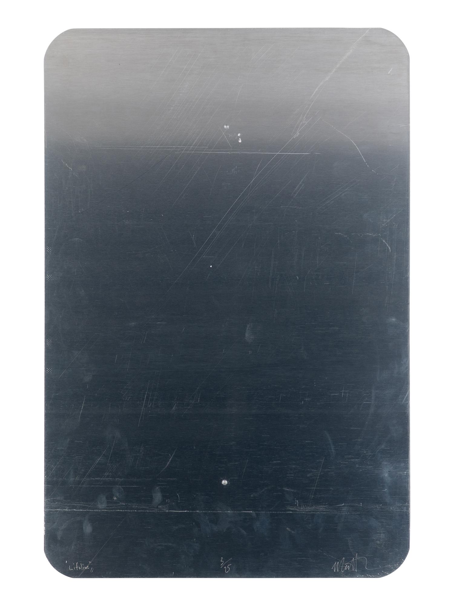 Lifeline , 2010