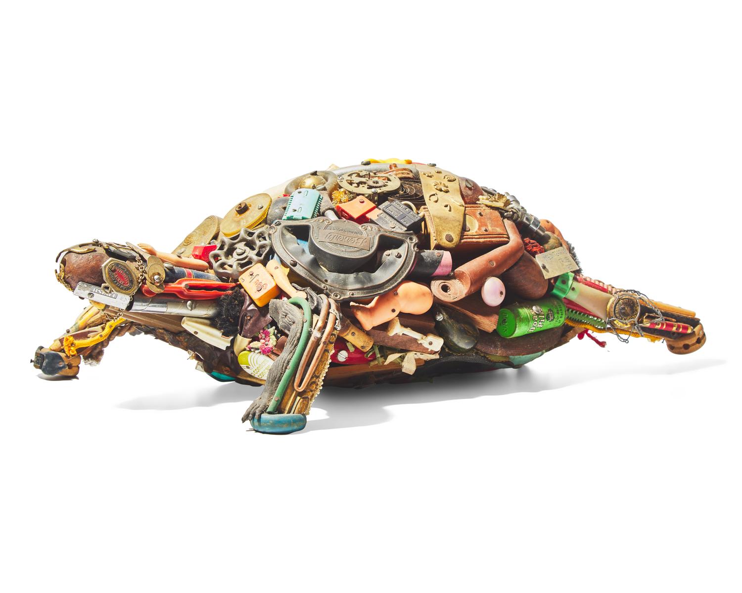 Turtle