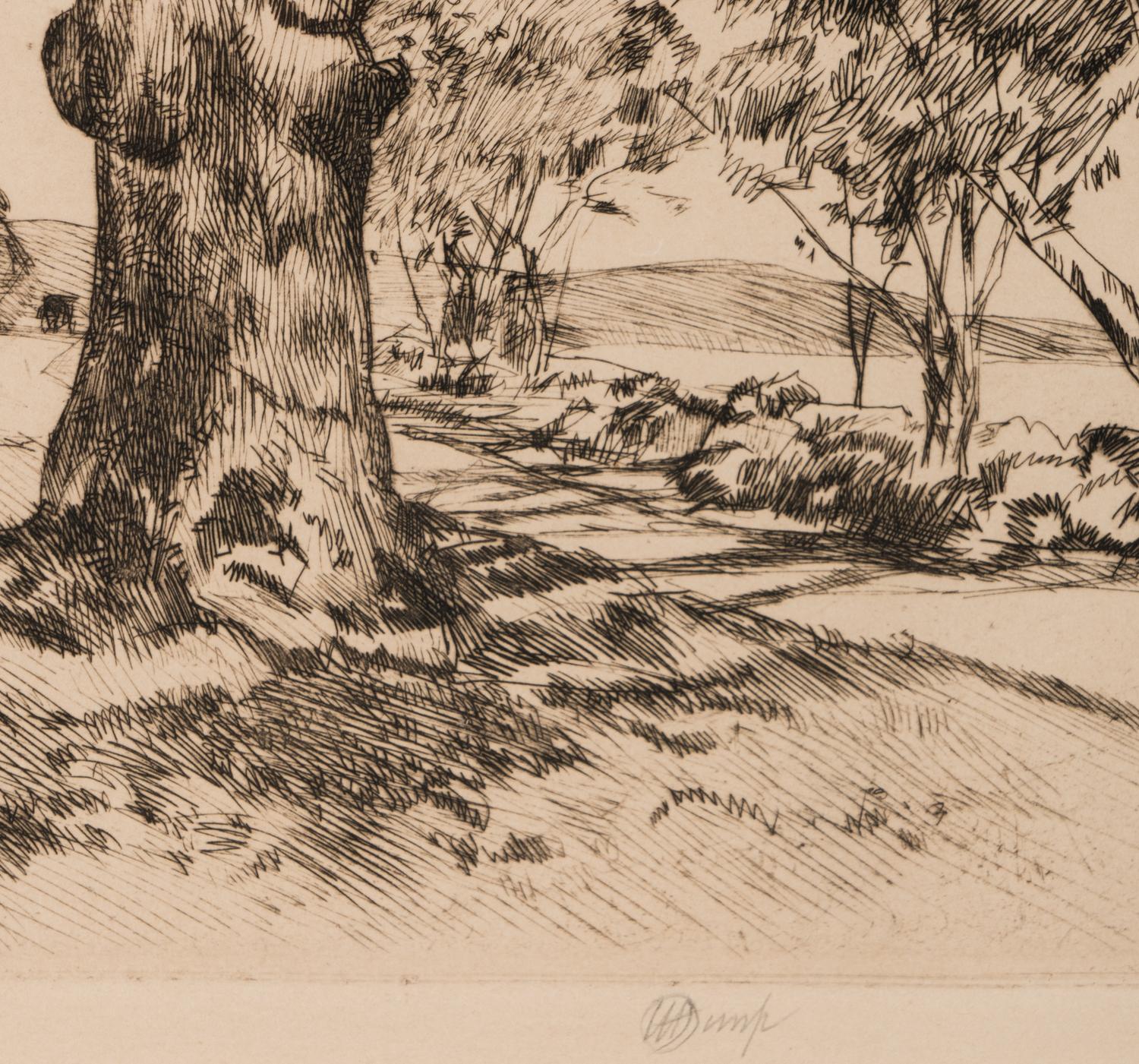 Wayside Inn—Oaks in Spring , 1926