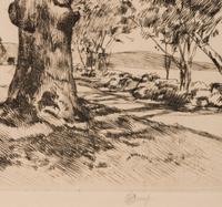 Wayside Inn—Oaks in Spring , 1926
