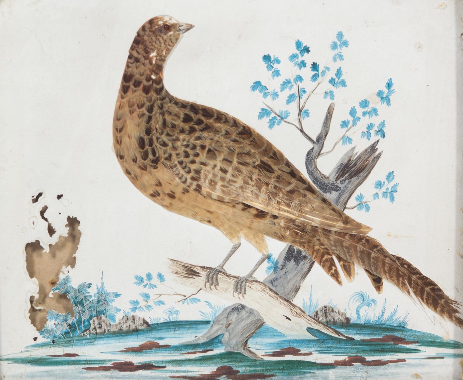 Three Miscellaneous Wildfowl Pictures Largest framed 12 x 15 inches. — 20TH CENTURY