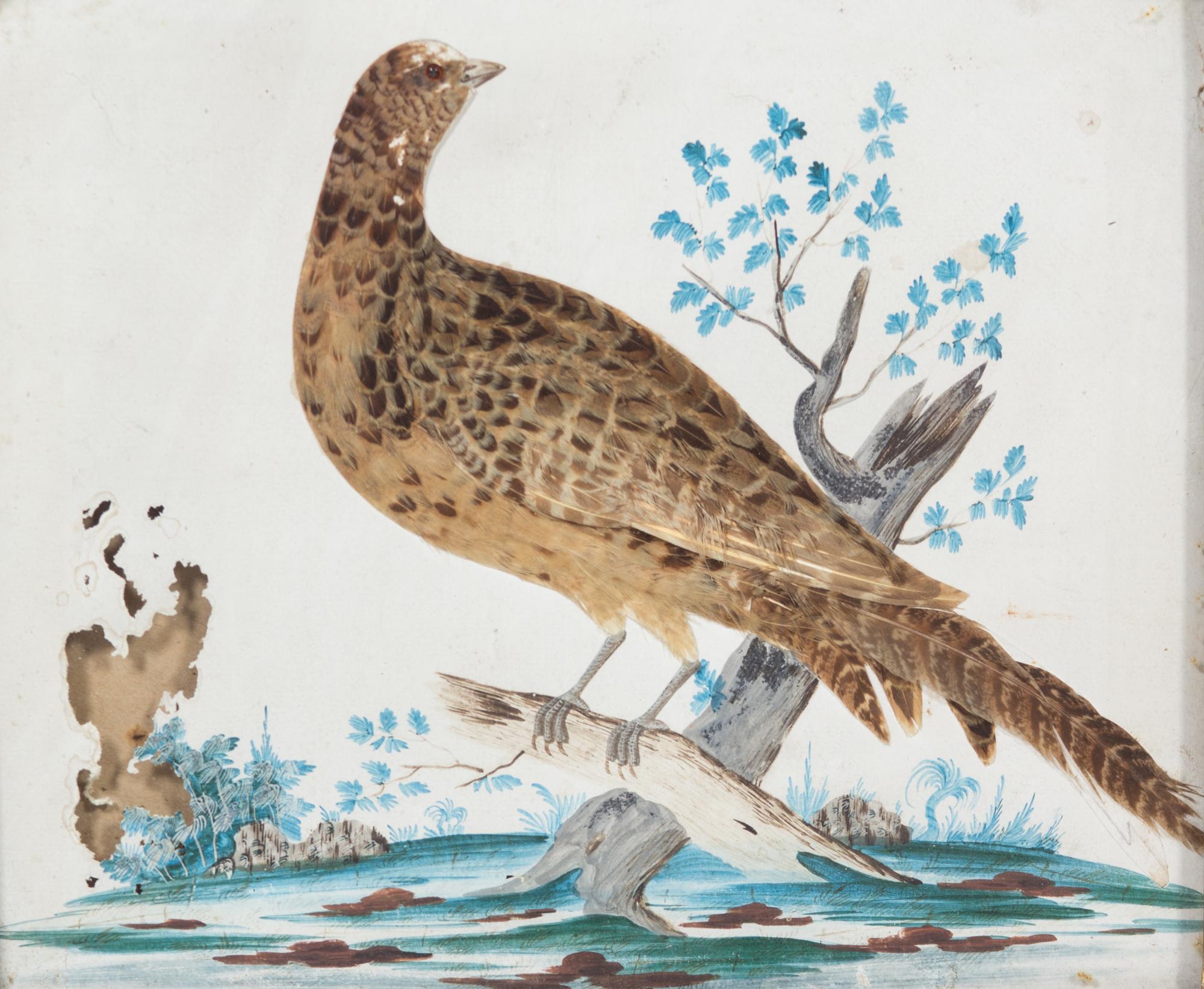Three Miscellaneous Wildfowl Pictures Largest framed 12 x 15 inches. — 20TH CENTURY