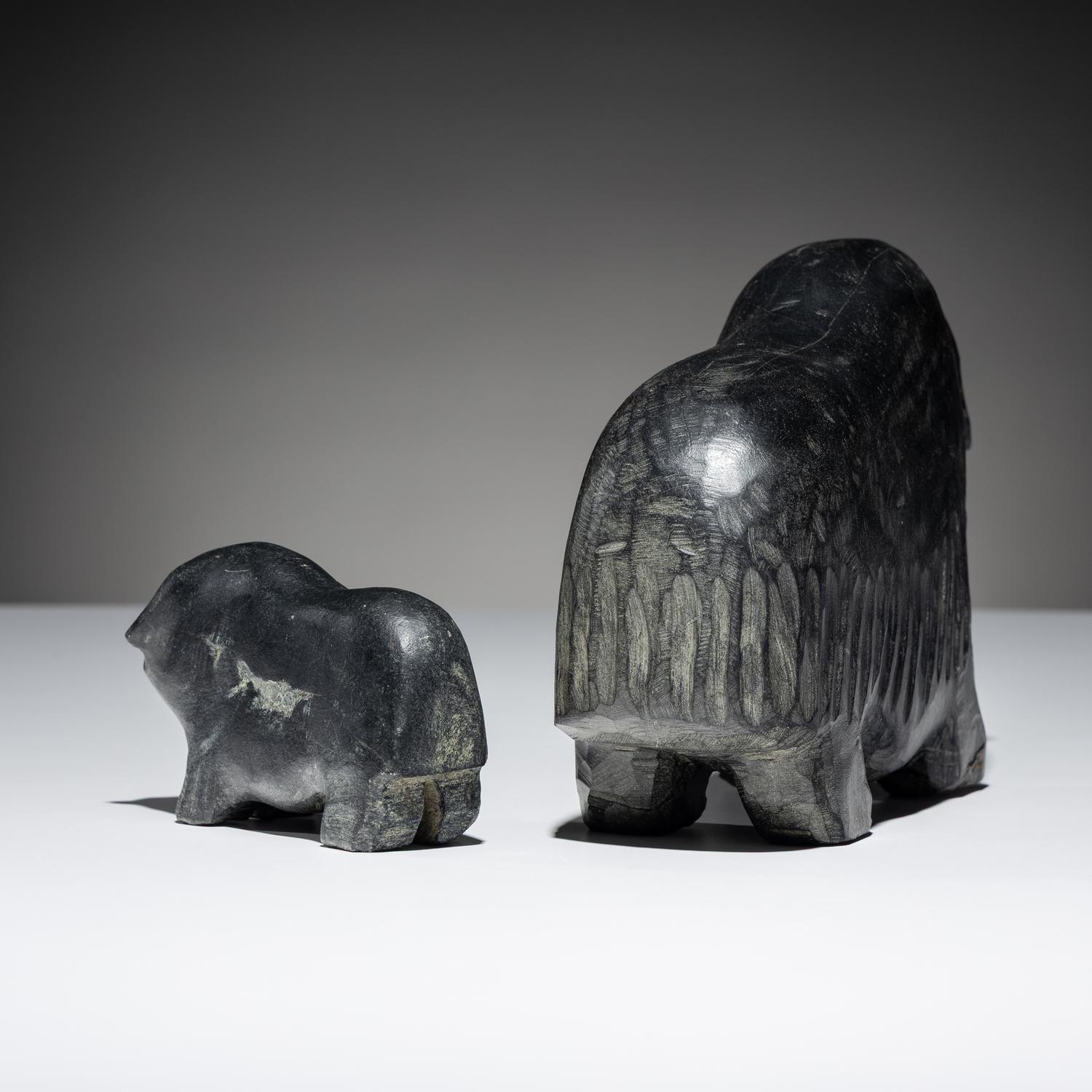 Muskox and Calf