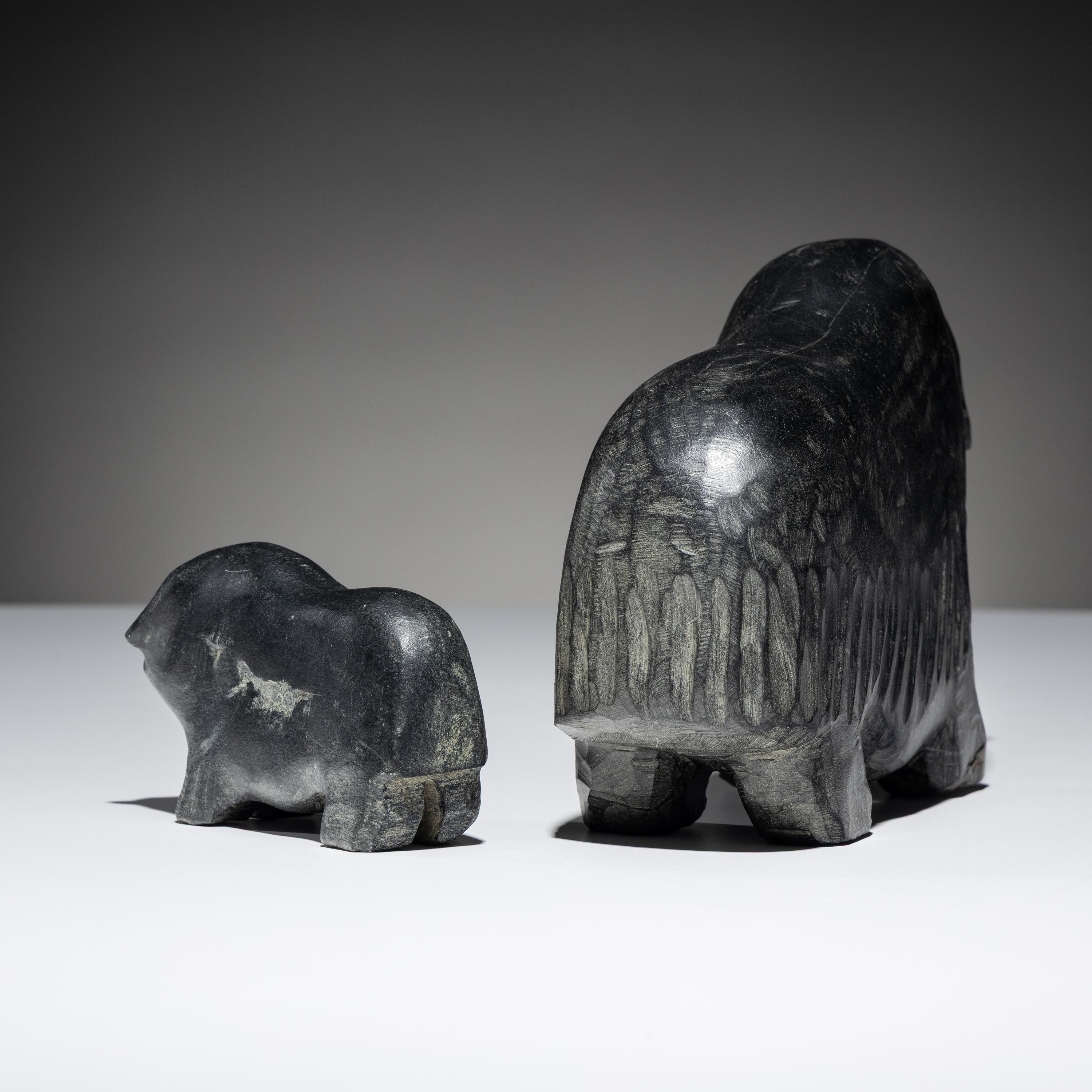 Muskox and Calf