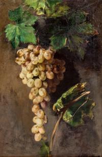 Still Life with Grapes