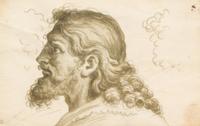 Attributed to Andrea Del Sarto, (Italian, 1486-1530), Head of a Man