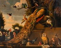 After Melchior d'Hondecoeter (Dutch, 1635-1695), 20th Century — Bird Concert (Langh Leeft den Rmingh)