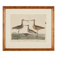 Alexander Lawson (1773-1846) and John G. Warnicke (died 1818), After Alexander Wilson (1766-1813), A Set of Sixteen Hand-Colored Engravings of Various Birds
