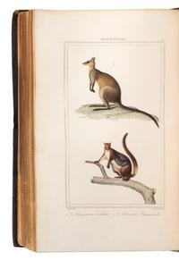 LESSON, René Primevère (1794-1849). Voyage autour du Monde... Paris, 1839. FIRST EDITION.