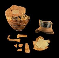 Ten Attic Black-Figured White-Ground Neck Amphora Fragments
