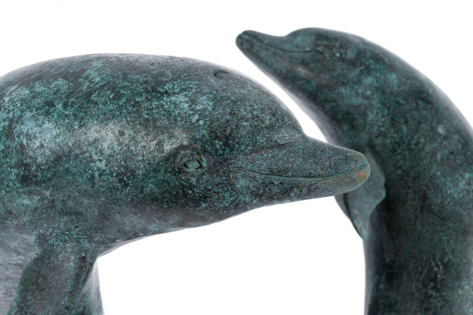 Two Dolphins