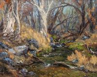Sycamore In Camp Creek