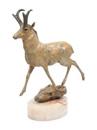 Antelope, edition 31/35