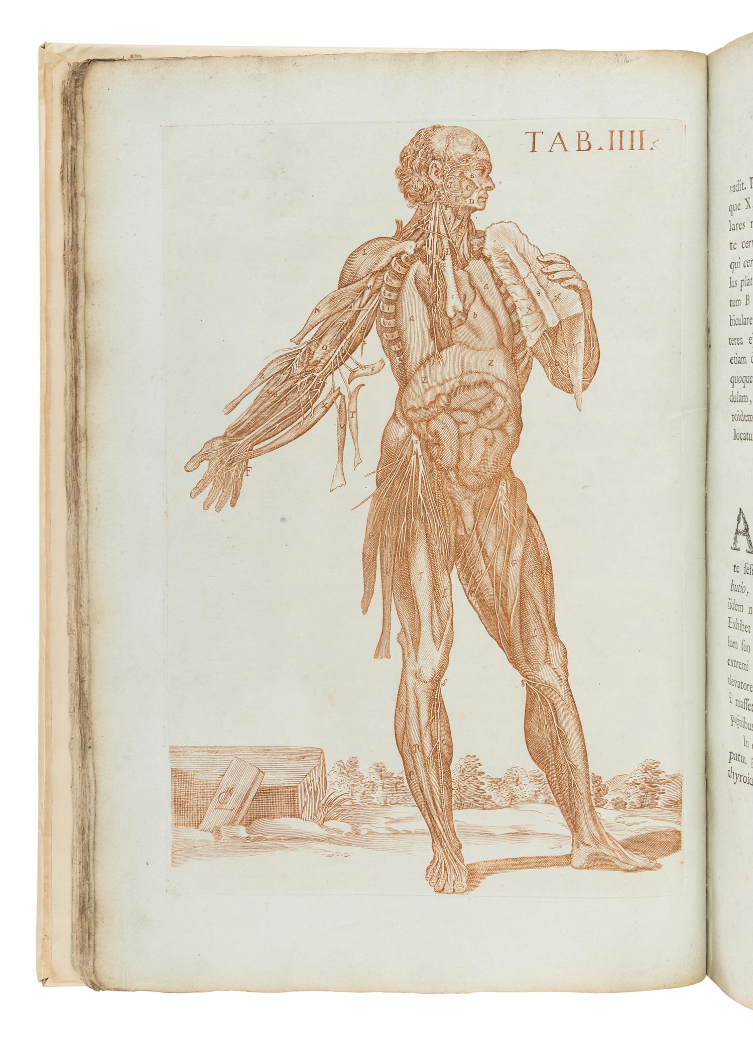 BERRETTINI, Pietro, called 'Pietro da Cortona' (1596-1669). Tabulae anatomicae ... Rome: Venanti Monaldini, 1788.