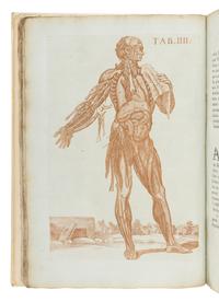 BERRETTINI, Pietro, called 'Pietro da Cortona' (1596-1669). Tabulae anatomicae ... Rome: Venanti Monaldini, 1788.