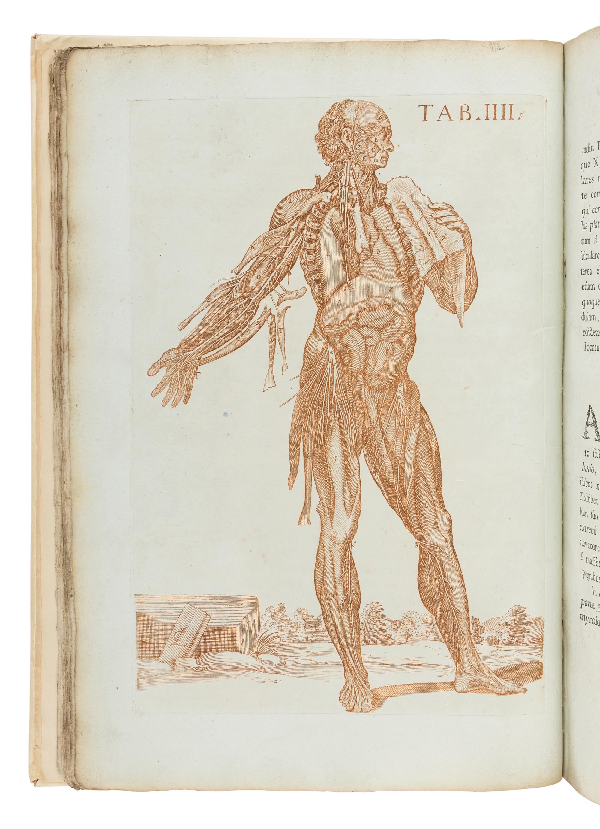 BERRETTINI, Pietro, called 'Pietro da Cortona' (1596-1669). Tabulae anatomicae ... Rome: Venanti Monaldini, 1788.