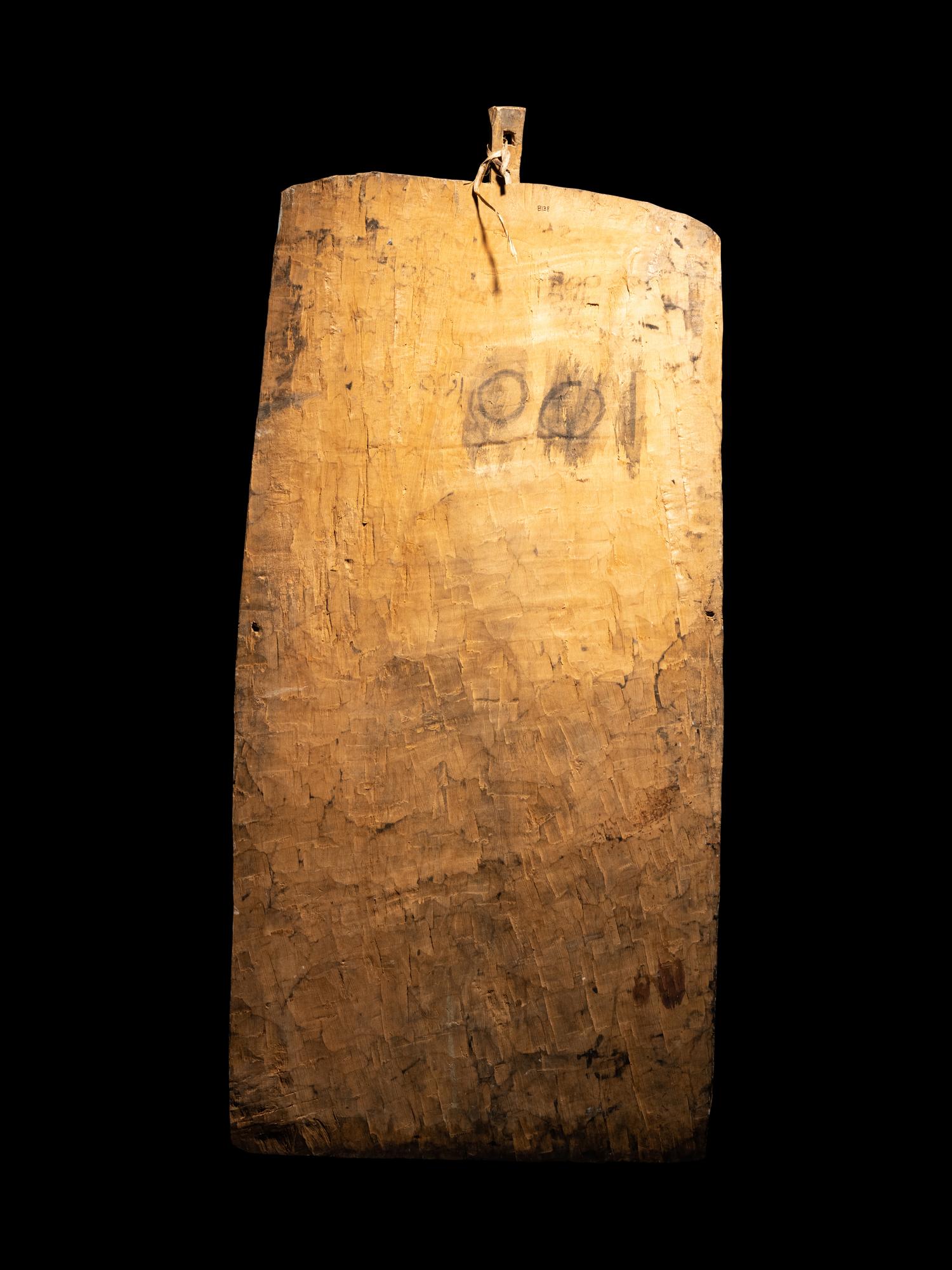 An Oceanic Wood Ancestral Shield
