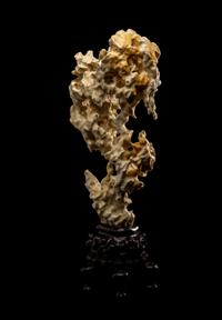 A Chinese Taihu Scholar's Rock