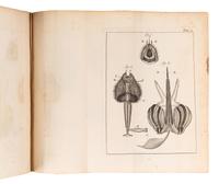 [BEES]. A group of 5 works about bees, comprising: