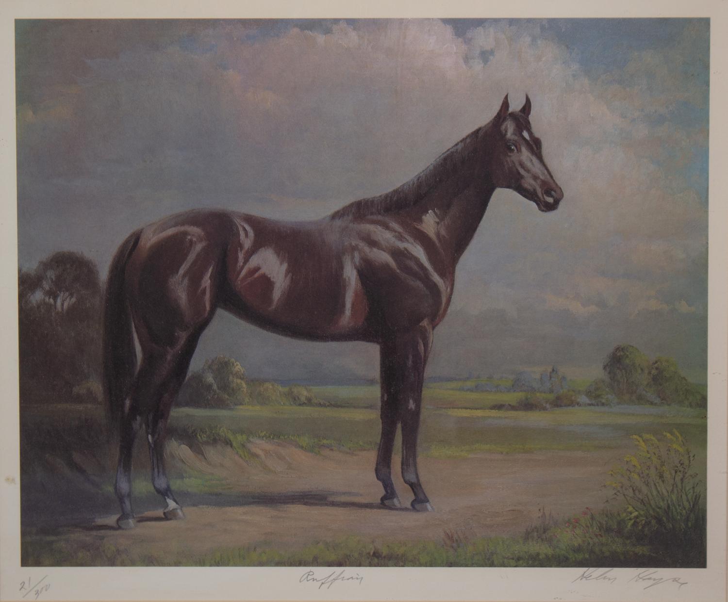 Nineteen Equestrian Prints