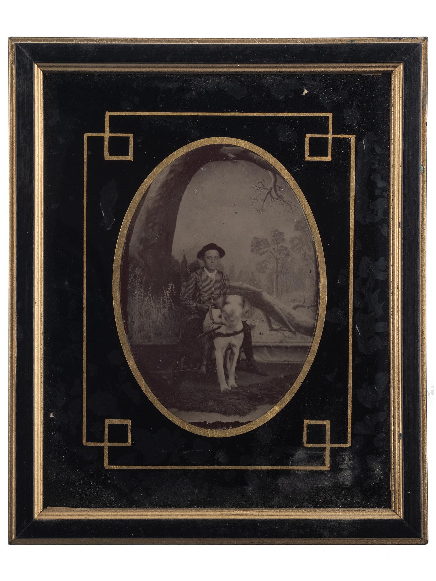 [EARLY PHOTOGRAPHY]. Extensive collection of photographs of dogs with and without their companions. Ca 19th-20th centuries.