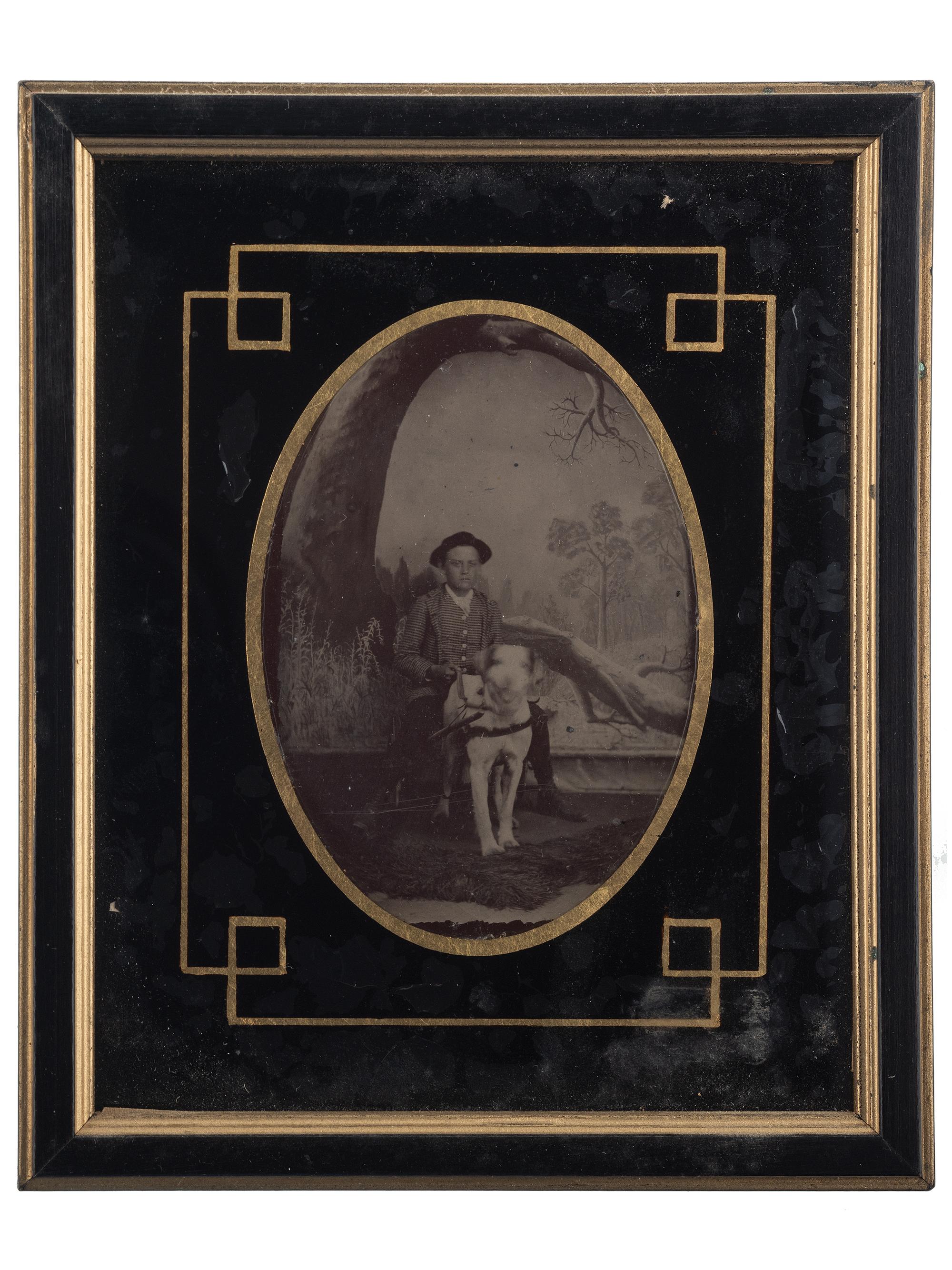 [EARLY PHOTOGRAPHY]. Extensive collection of photographs of dogs with and without their companions. Ca 19th-20th centuries.
