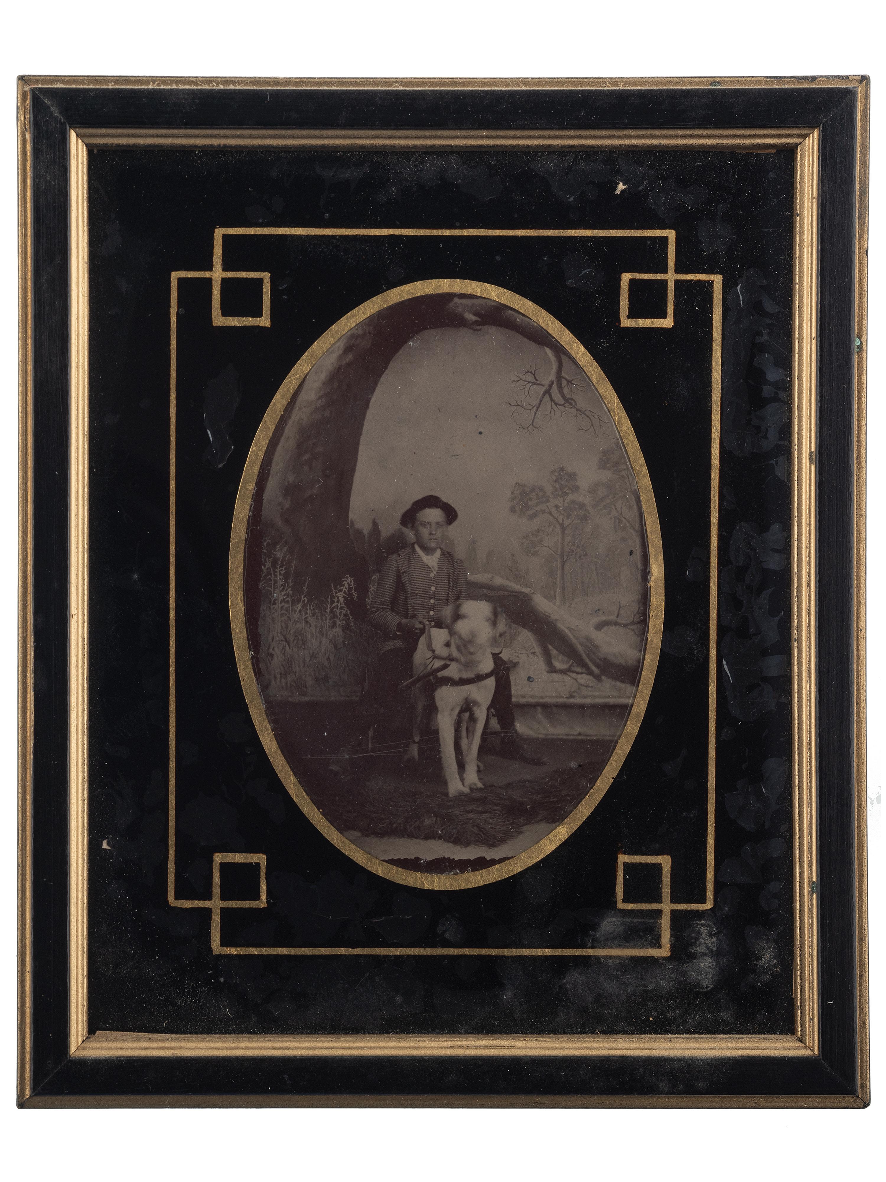 [EARLY PHOTOGRAPHY]. Extensive collection of photographs of dogs with and without their companions. Ca 19th-20th centuries.