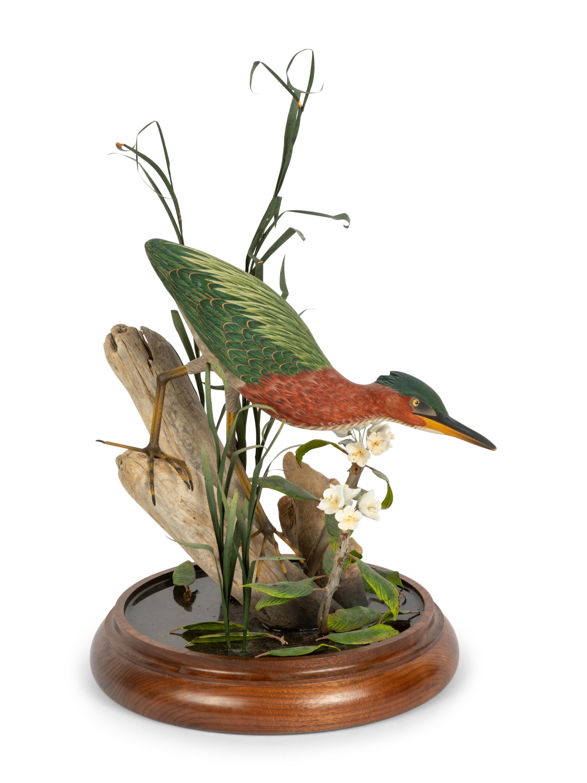 Bird in the Grass