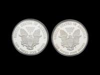 [PRIVATE ISSUE) Two 1-Pound Silver Rounds