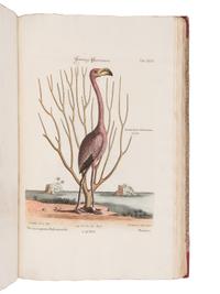 [NATURAL HISTORY]. SELIGMANN, Johann Michael (1720-1762). Verzameling van Uitlandsche en Zeldzaame Vogelen...in't Nedertuitsch vertaald... door M. Houttuyn . Amsterdam: Jan Christiaan Sepp, 1772-1781.