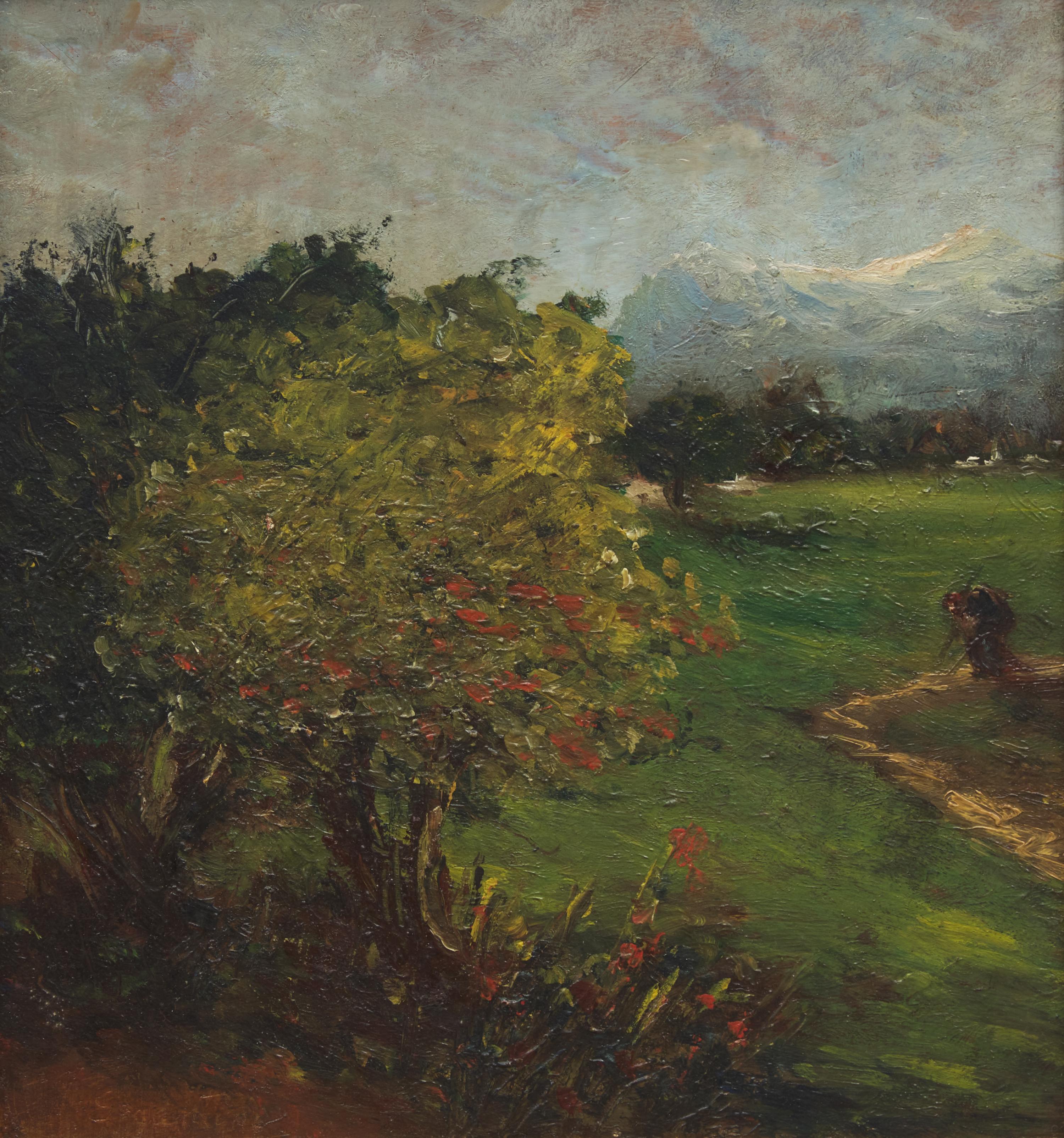 Paesaggio