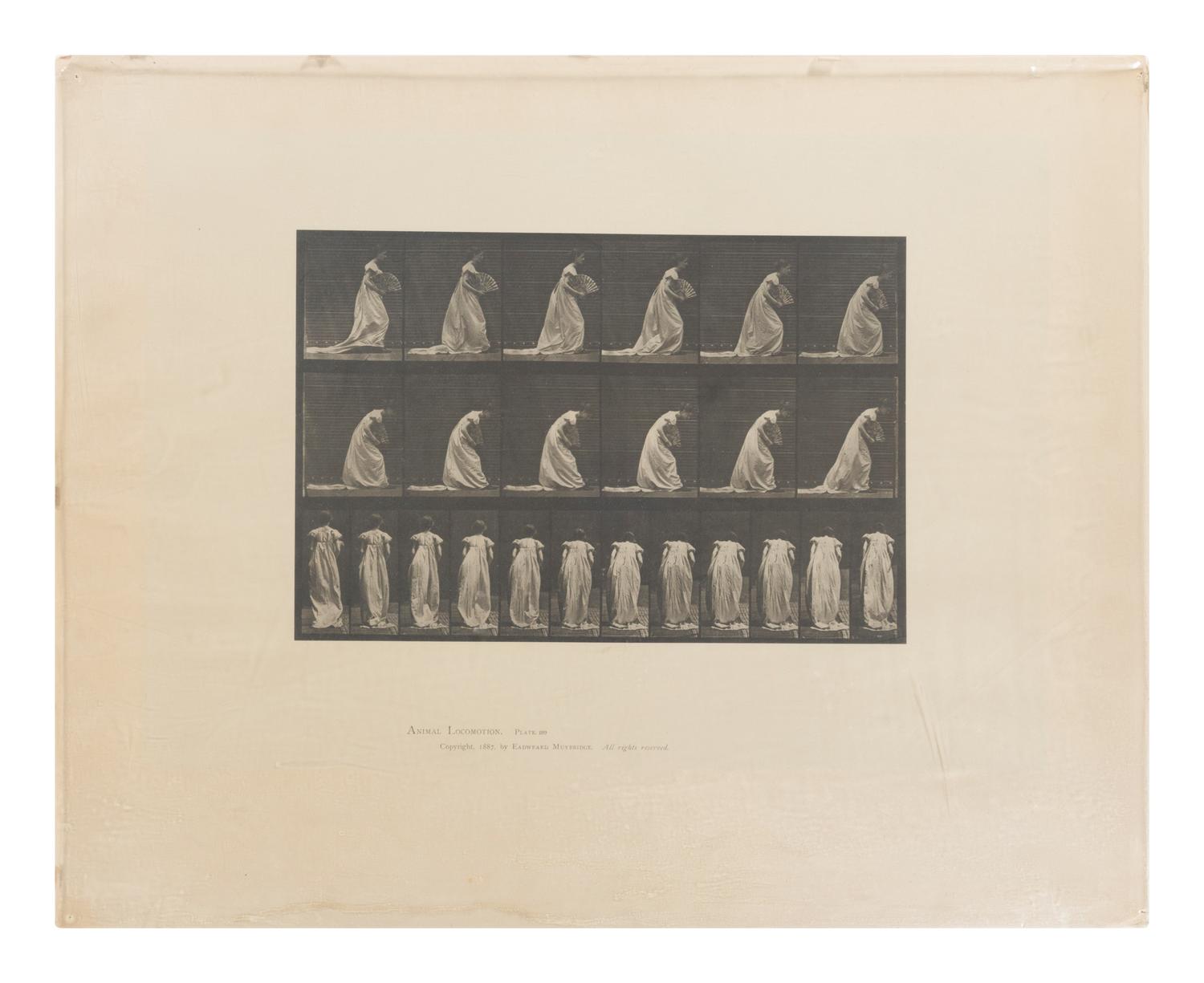 15 Plates from Animal Locomotion , 1887