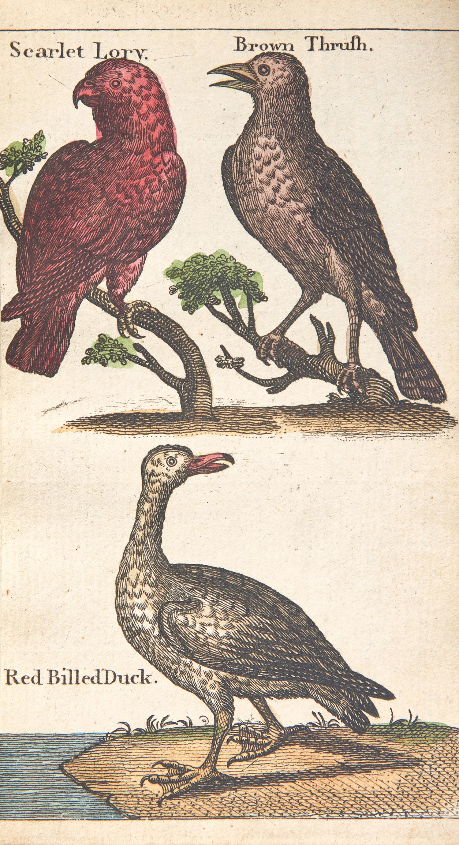 [Children's & Illustrated] (Darton, William). A Present For A Little Boy