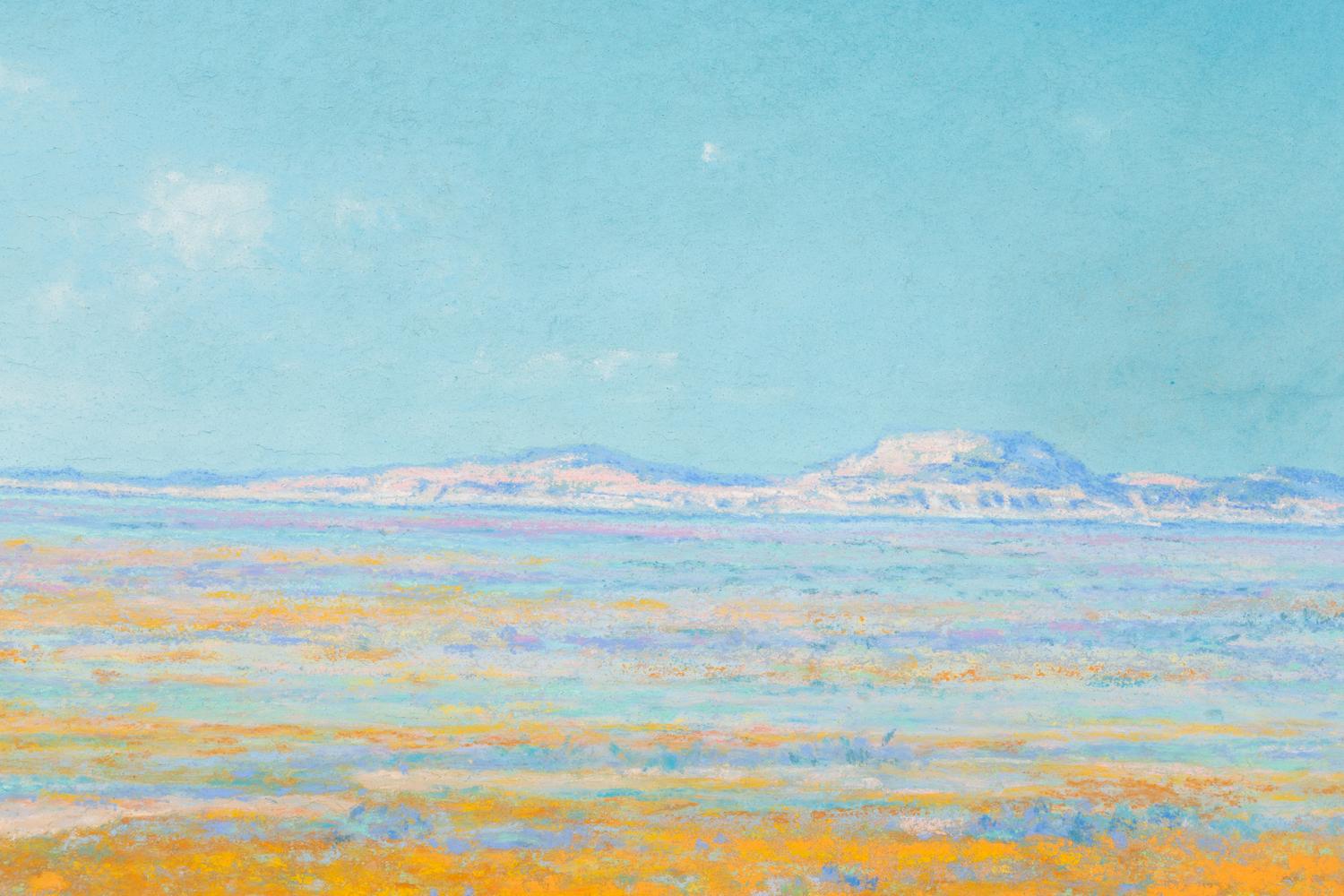 Spring on the Desert, Antelope Valley, California