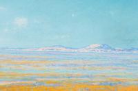 Spring on the Desert, Antelope Valley, California