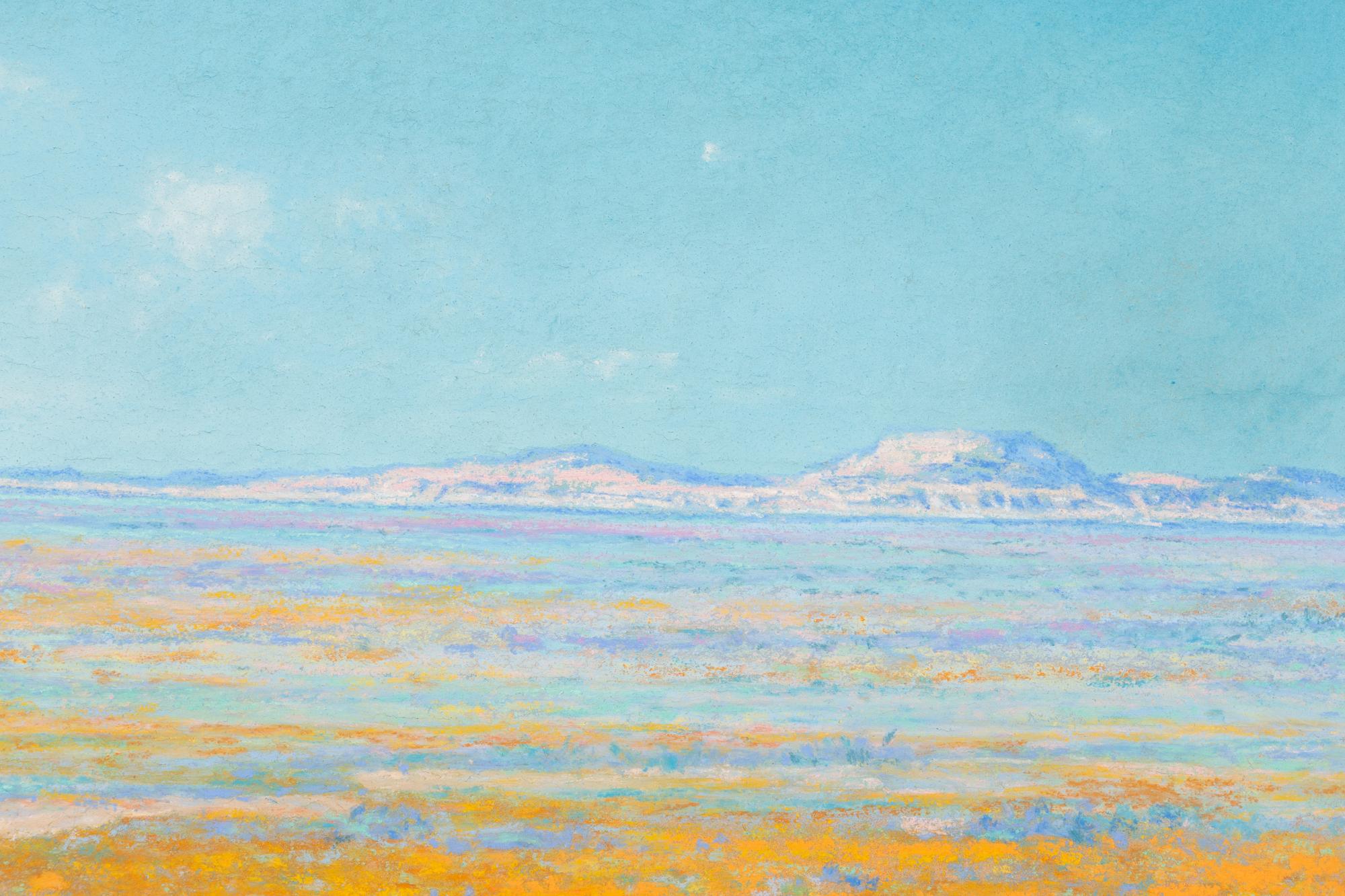 Spring on the Desert, Antelope Valley, California