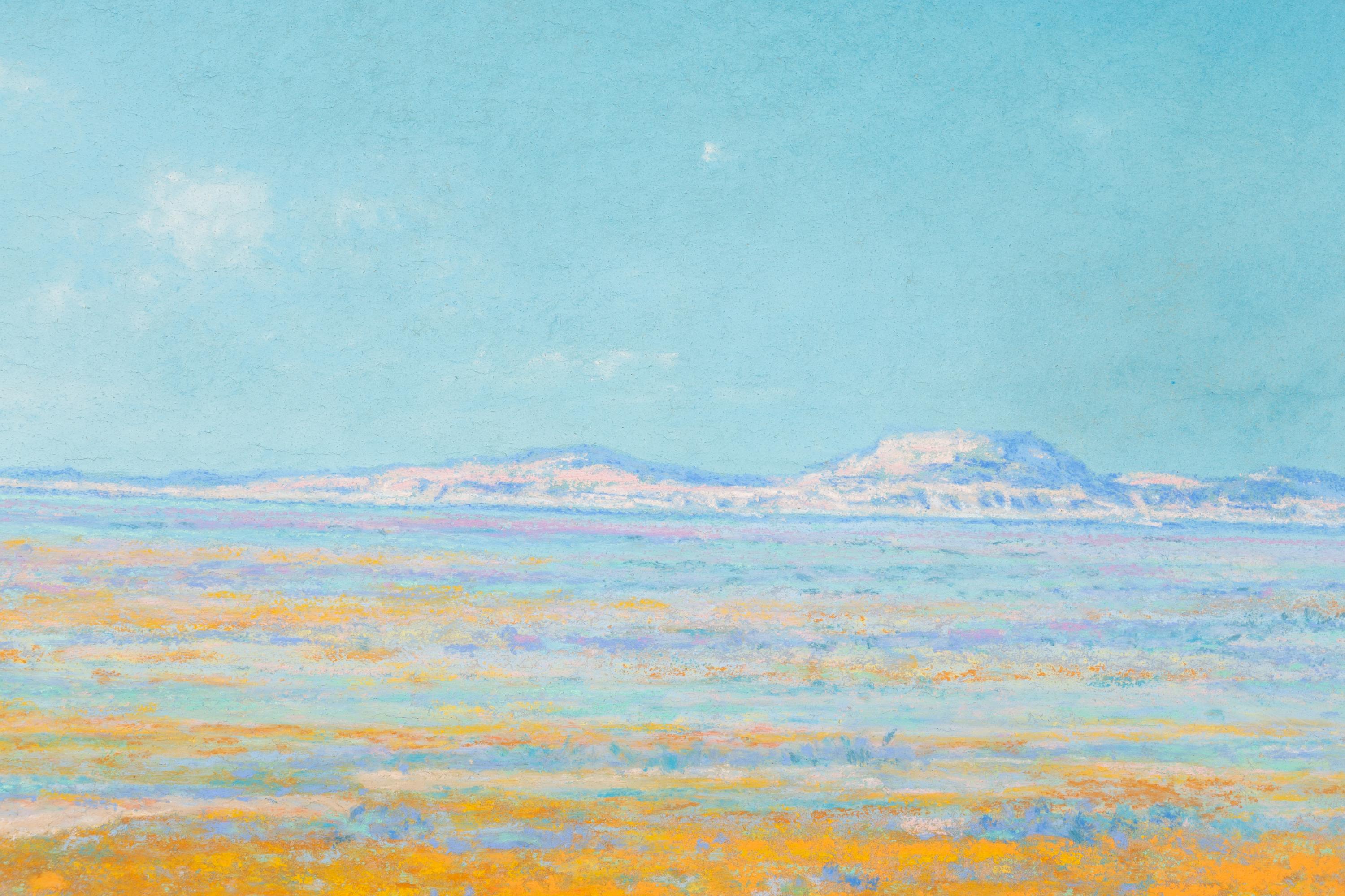 Spring on the Desert, Antelope Valley, California